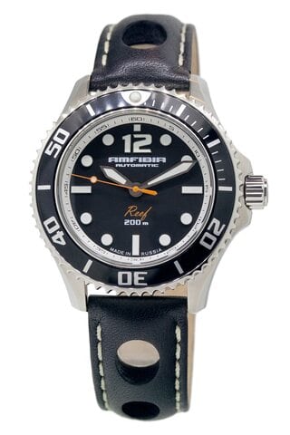Amphibia 2415.01/080495