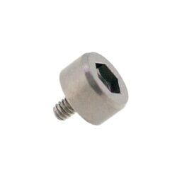 RR buckle screw