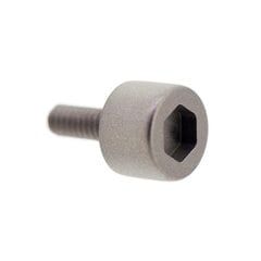 RR strap screw