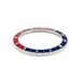 Vostok Amphibia 24H Blue Red Universal Bezel
